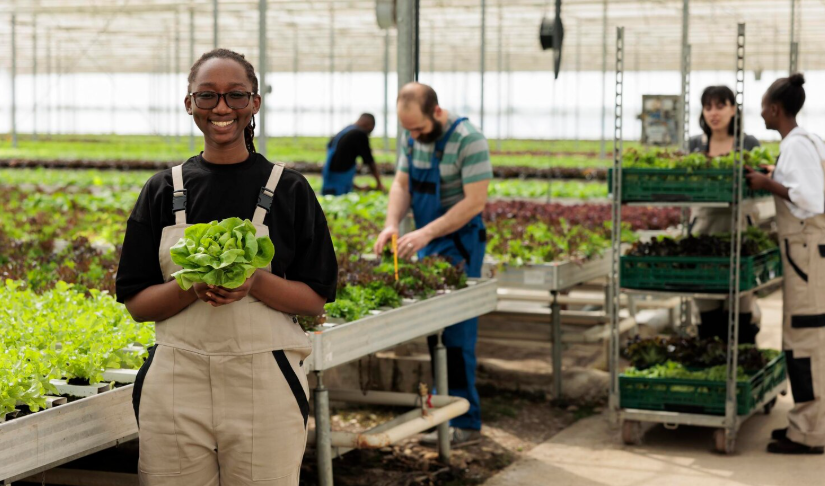 Course Image Agribusiness and Agriculture Operations Management