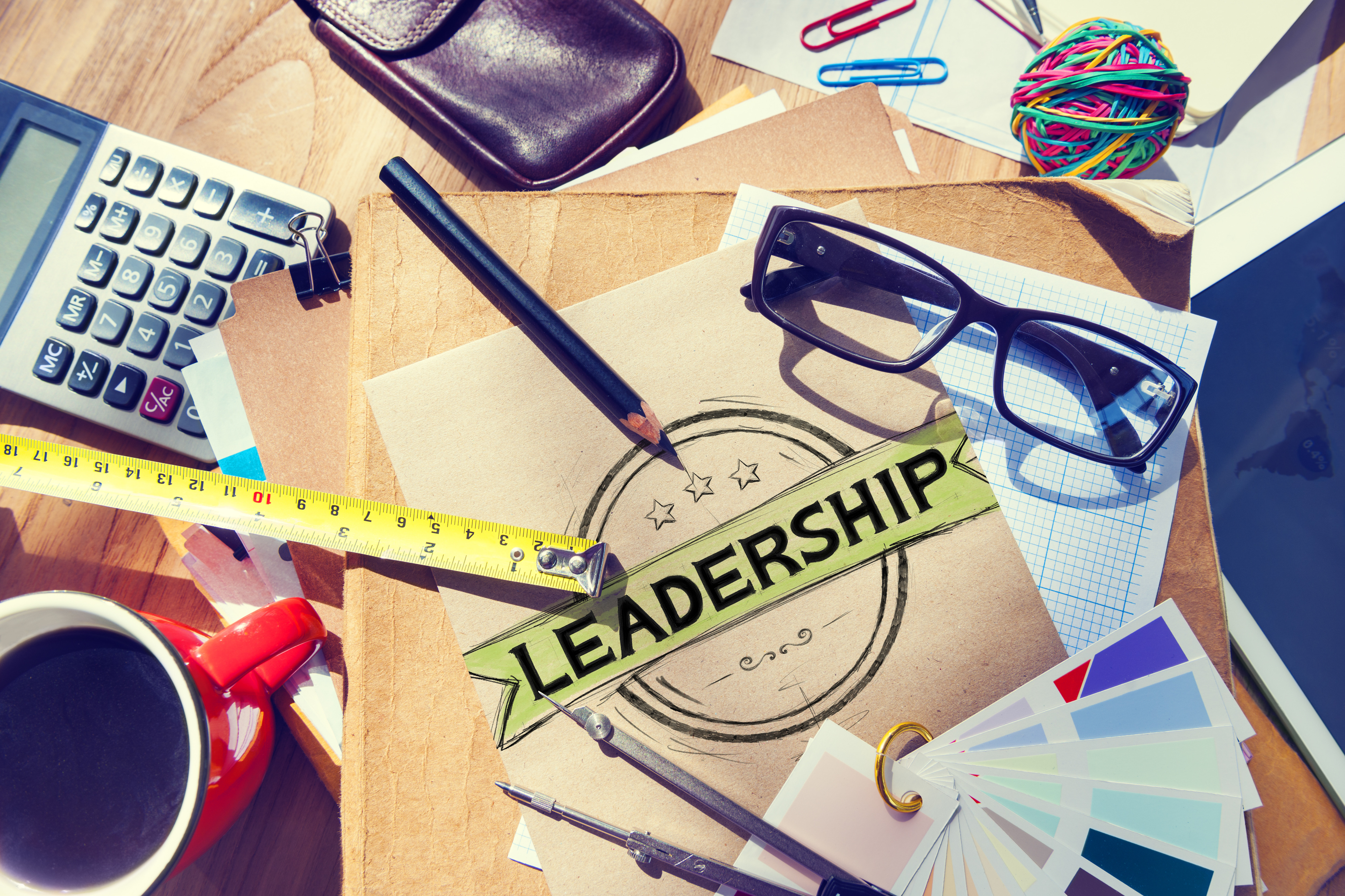 Course Image Leadership Development Coaching & Mentoring Program